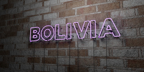 BOLIVIA - Glowing Neon Sign on stonework wall - 3D rendered royalty free stock illustration.  Can be used for online banner ads and direct mailers..
