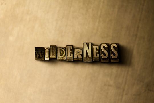 WILDERNESS - close-up of grungy vintage typeset word on metal backdrop. Royalty free stock illustration.  Can be used for online banner ads and direct mail.