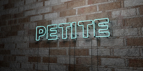 Fototapeta na wymiar PETITE - Glowing Neon Sign on stonework wall - 3D rendered royalty free stock illustration. Can be used for online banner ads and direct mailers..