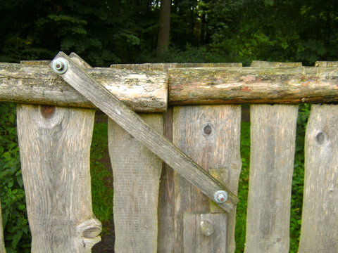 DIGITAL CAMERA
