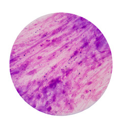 Blood cells on white background.