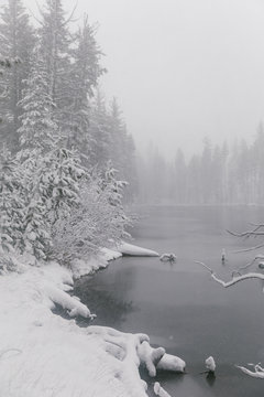 View of Lake Helen during winter