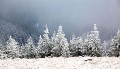 amazing winter sunrise through fog in the mountains