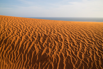 sand in the desert