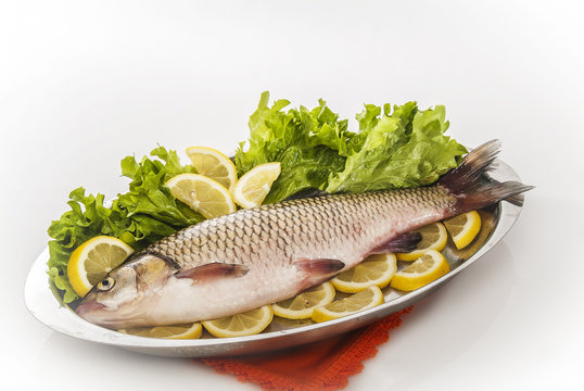 pesce di fiume cavedano