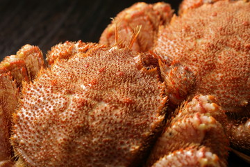 毛蟹　Hair crab