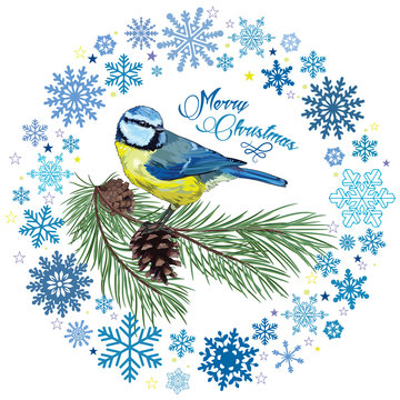 Christmas card. Titmouse sitting on pine branch with cones and the circle of snowflakes