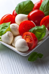  mozzarella with tomato and basil