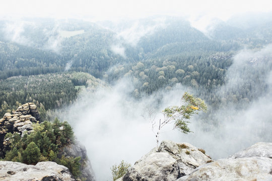 Scenic view of mountains in foggy weather, Saxon Switzerland National Park, Saxony, Germany