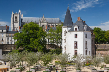 Medieval castle of Nantes, France