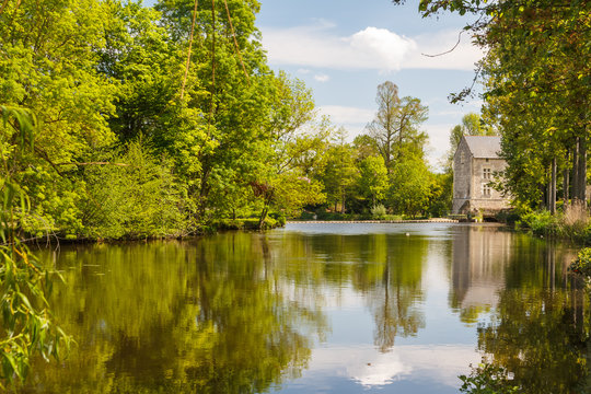 Pond near Montreuil-Bellay castle, France