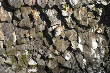 Basaltsäulen an der Basaltküste von Arnarstapi auf Snaefellsnes (Island)