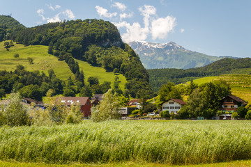 Fototapeta na wymiar Rural alps landscape near Balzers, Liechtenstein