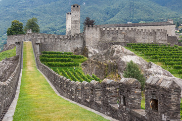Fototapeta na wymiar Medieval fortifications of Bellinzona, Switzerland