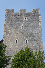 Ruins of the castle in Celje, Slovenia