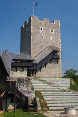 Fototapeta na wymiar Ruins of the castle in Celje, Slovenia