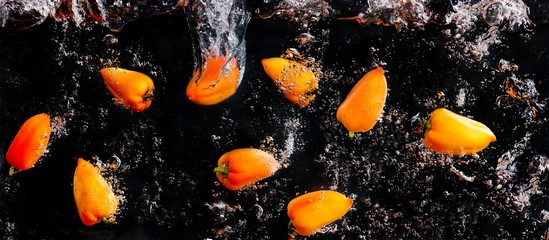Fototapeta na wymiar Fresh peppers in water