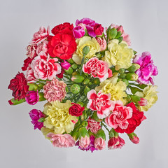 carnation flowers bouquet closeup, colorful background