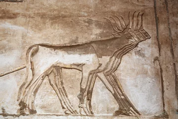 Fotobehang Ancient Egyptian engravings depicting bulls   © Vladimir Melnik