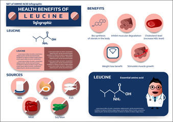 Health benefits of leucine (essential amino acid) infographic,supplement and nutrition vector illustration