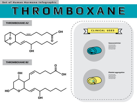 Set of human hormone "Thromboxane" infographic, medical line icon template vector illustration for education