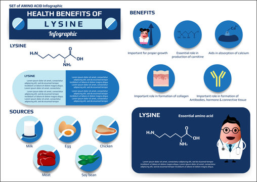 Health benefits of lysine (essential amino acid) infographic,supplement and nutrition vector illustration