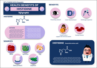 Health benefits of histidine (essential amino acid) infographic, supplement and nutrition vector illustration