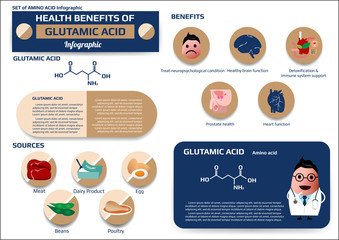 Health benefits of glutamic acid (amino acid) infographic, supplement and nutrition vector illustration