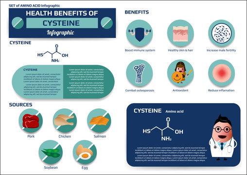Health benefits of cysteine (amino acid) infographic,supplement and nutrition vector illustration
