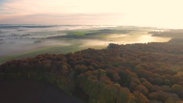 Survol de la Forêt de Crécy (Somme, Picardie) en automne