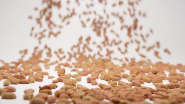 SLOW MOTION: Stream of pet food moving to a camera