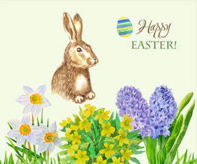Spring Rabbit and Flowers