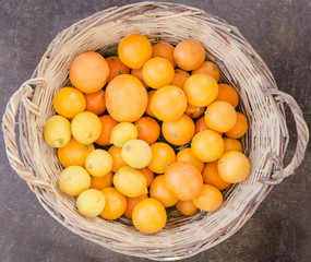 Basket filled with oranges and lemons