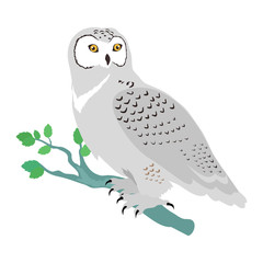 Snowy Owl Flat Design Vector Illustration