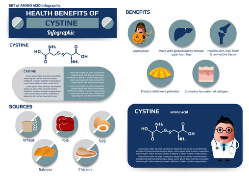 Health benefits of cystine (amino acid) infographic,supplement and nutrition vector illustration