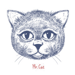 Cute cat illustration