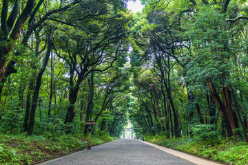 Meiji-jingu temple in Central Tokyo, Japan.