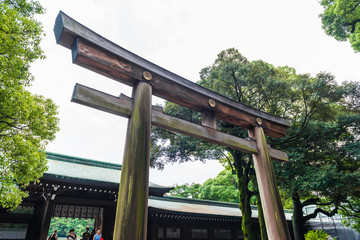 Fototapeta na wymiar Meiji-jingu temple in Central Tokyo, Japan.