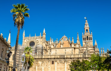 Cathedral of Saint Mary of the See in Seville - Andalusia, Spain