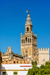 Fototapeta na wymiar View of Seville Cathedral - Andalusia, Spain
