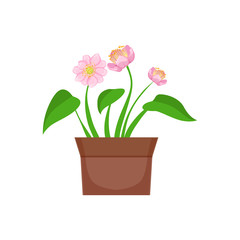 Naklejka na ściany i meble Home Pink Flower With Heart Shape Leaves In The Flowerpot, Flower Shop Decorative Plants Assortment Item Cartoon Vector Illustration