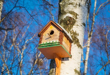 Wooden house for birds on a birch tree in the woods
