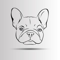 dog vector breed cute animal bulldog french