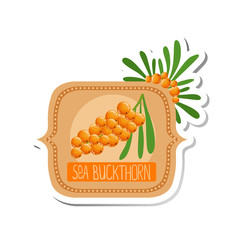 Sea Buckthorn Bright Color Jam Label Sticker Template In Square Frame