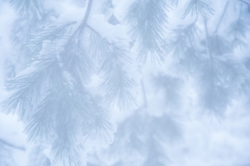 A very soft and romantic looking winter landscape.