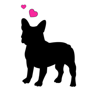 recommend clip art: dog vector breed cute animal bulldog french