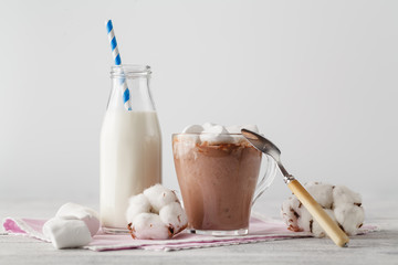 Glass of hot cocoa with marshmallow