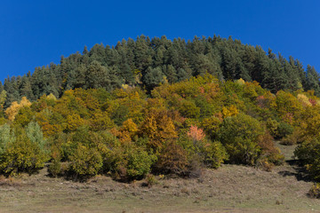 Fototapeta premium Beautiful autumn mountain landscape in Svaneti. Georgia