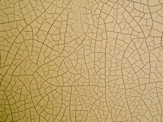 wood crack on skin by low high temperature