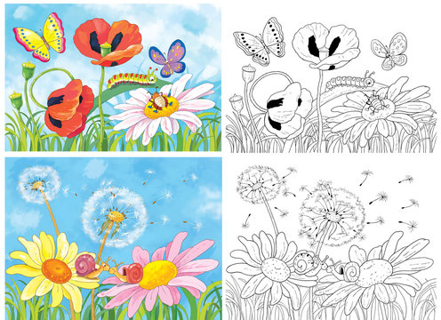 Coloring page. Cute flowers and insects. Poppies, daisies, butterflies, snails